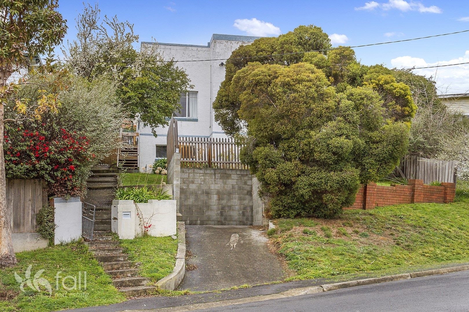 81 Springfield Avenue, West Moonah TAS 7009, Image 0