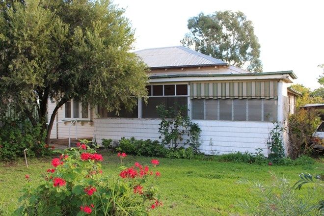 Picture of 19 Cedar St, LEETON NSW 2705