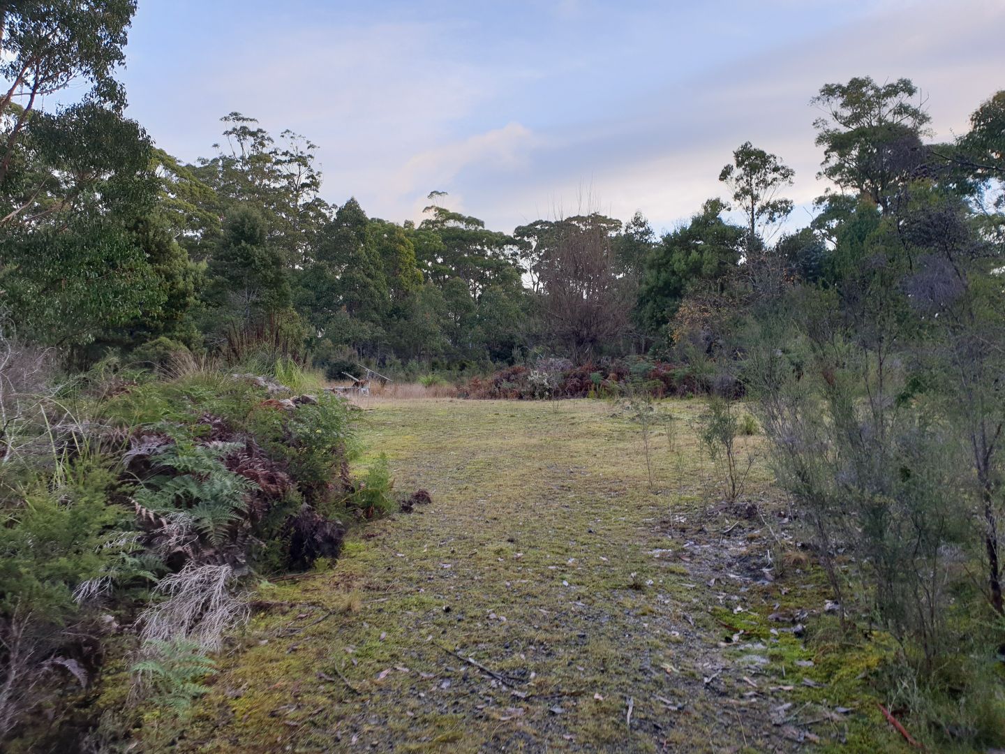 110 Tongue Road, Hastings TAS 7109 Vacant Land for Sale Domain