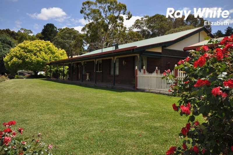 Lot 11 RPAP 247 Precolumb Road, One Tree Hill SA 5114, Image 0