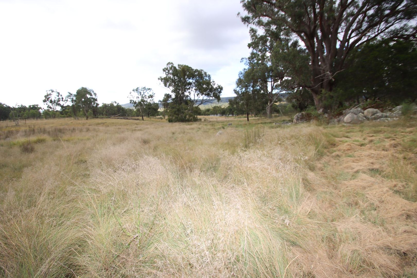 Lot 1423 Sunnyside Hall Road, Tenterfield NSW 2372, Image 2