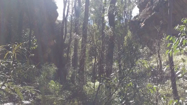 Image 6