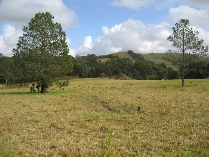 Lot 91 Palm Lily Crescent, BANGALOW NSW 2479, Image 2