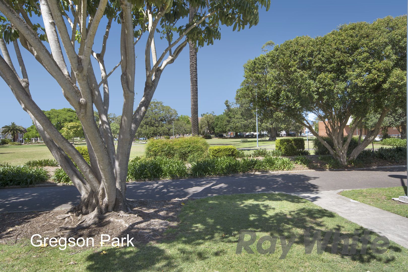 14 Samdon Street, Hamilton NSW 2303, Image 1