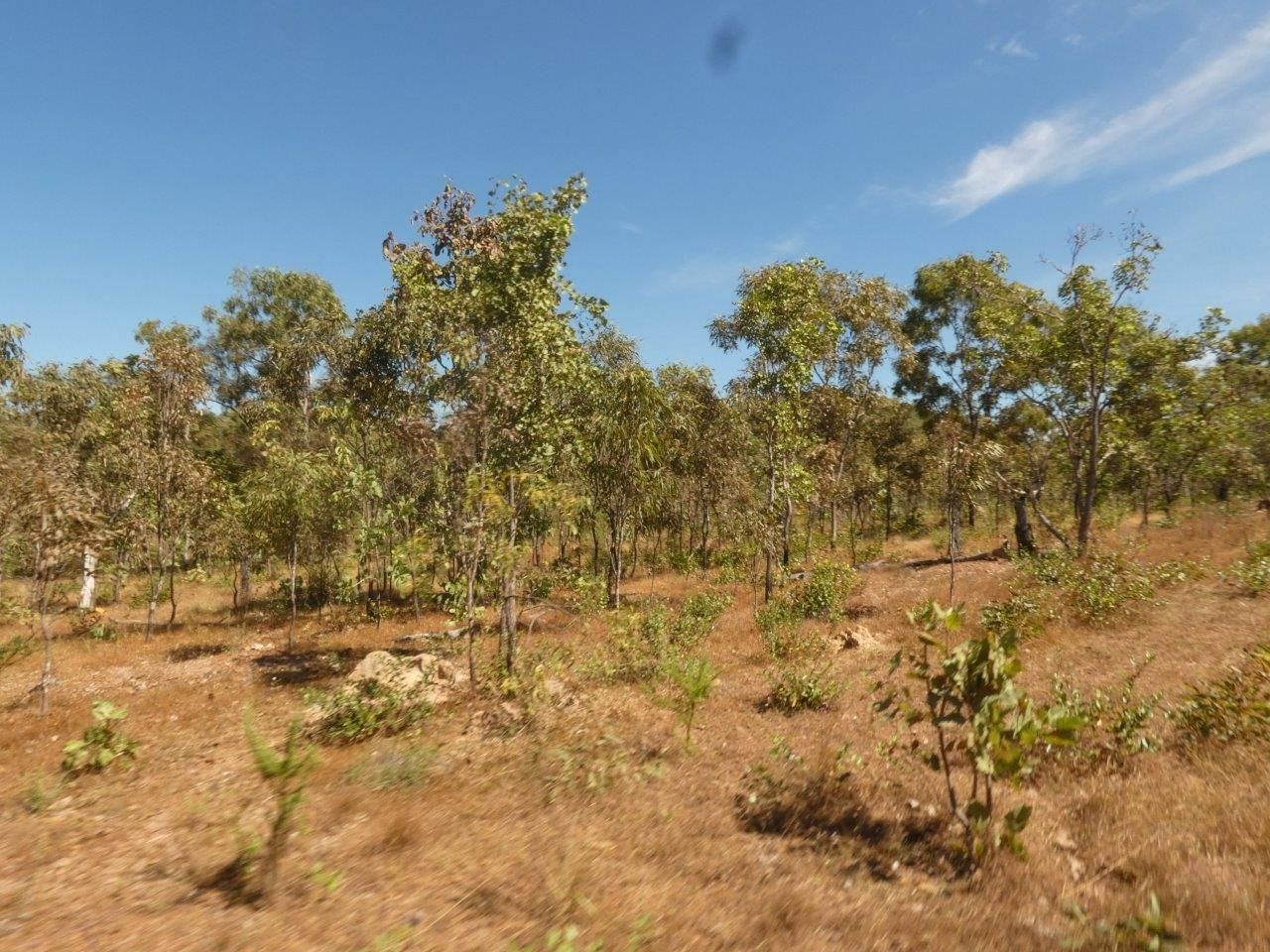 246 Strickland Road, Adelaide River NT 0846 Vacant Land for Sale