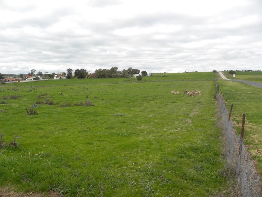 Lot12 Smith Street, Harden NSW 2587, Image 2