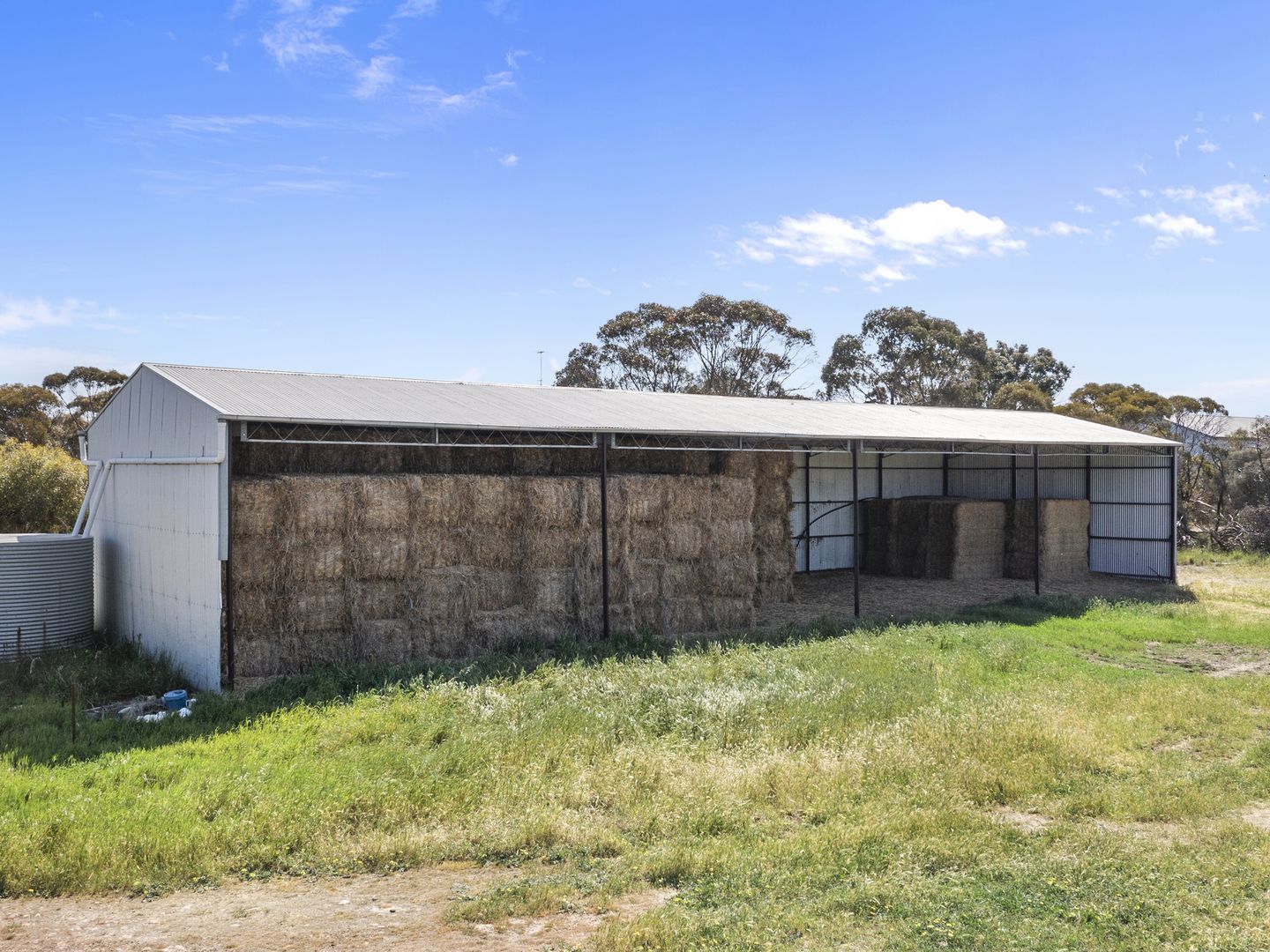 4048 Carcuma Road, Coonalpyn SA 5265 Farm for Sale Domain