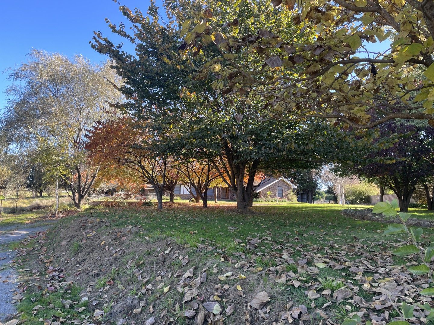 93 Wade Street, Crookwell NSW 2583 House For Rent 650 Domain