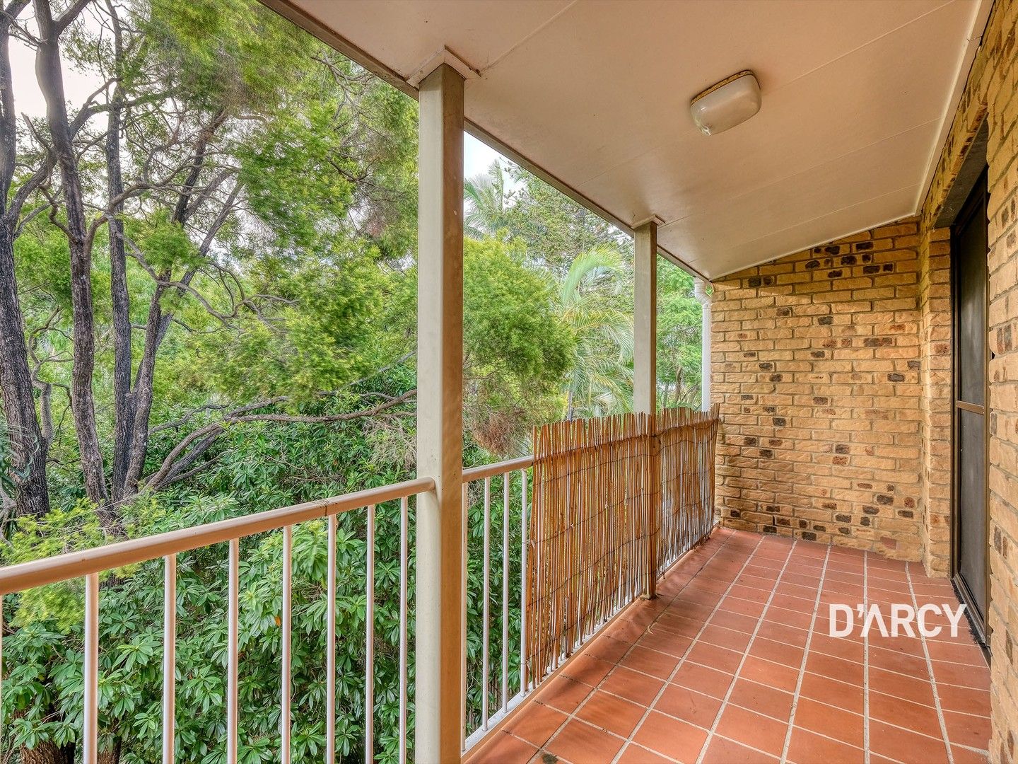 5/115 Elizabeth Street, Paddington QLD 4064, Image 0