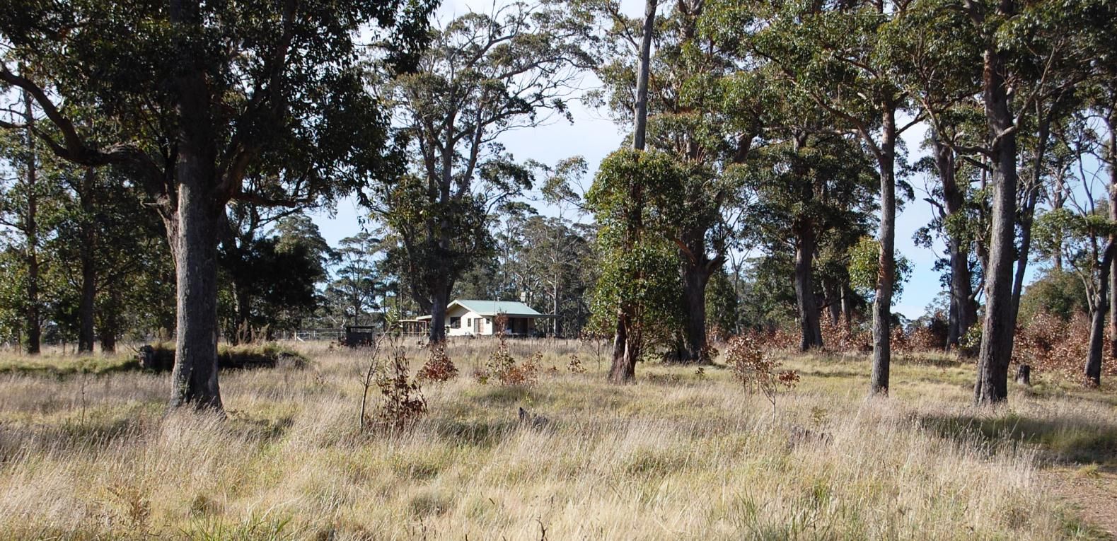 Cunnawarra Trail, Ebor NSW 2453, Image 2