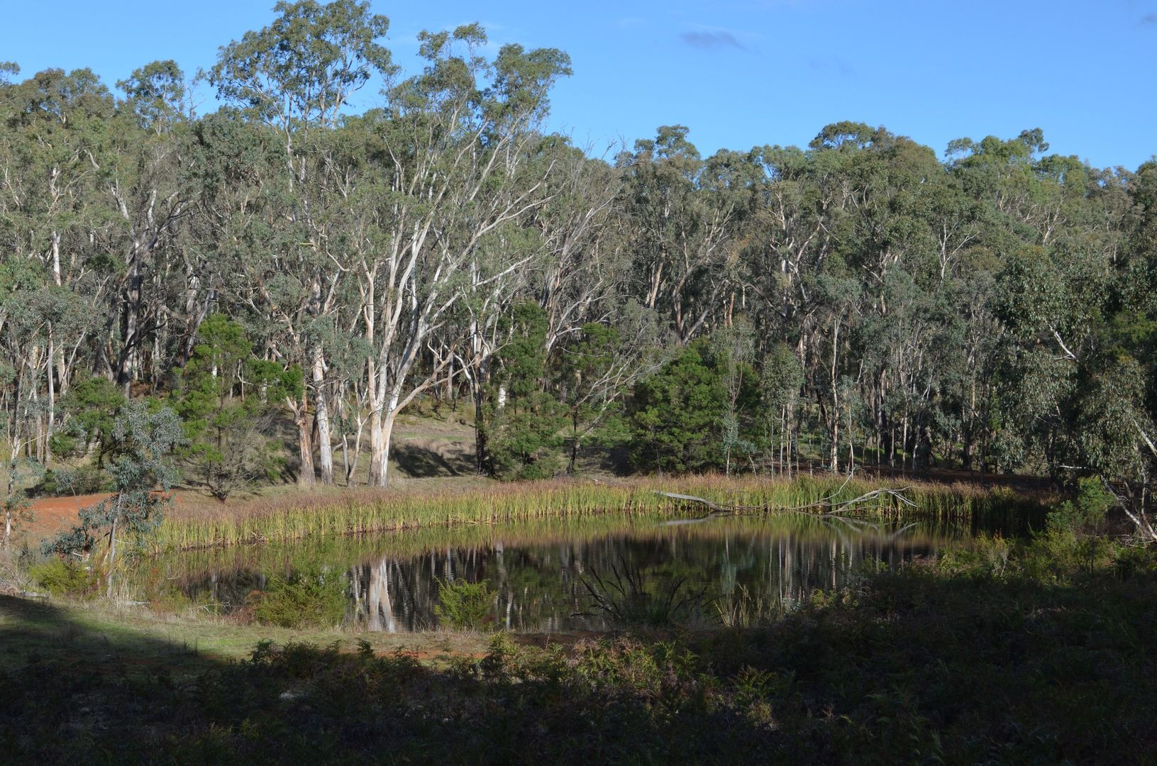 Lot 21 & 23 Casterton-Edenhope Road, Edenhope VIC 3318, Image 1