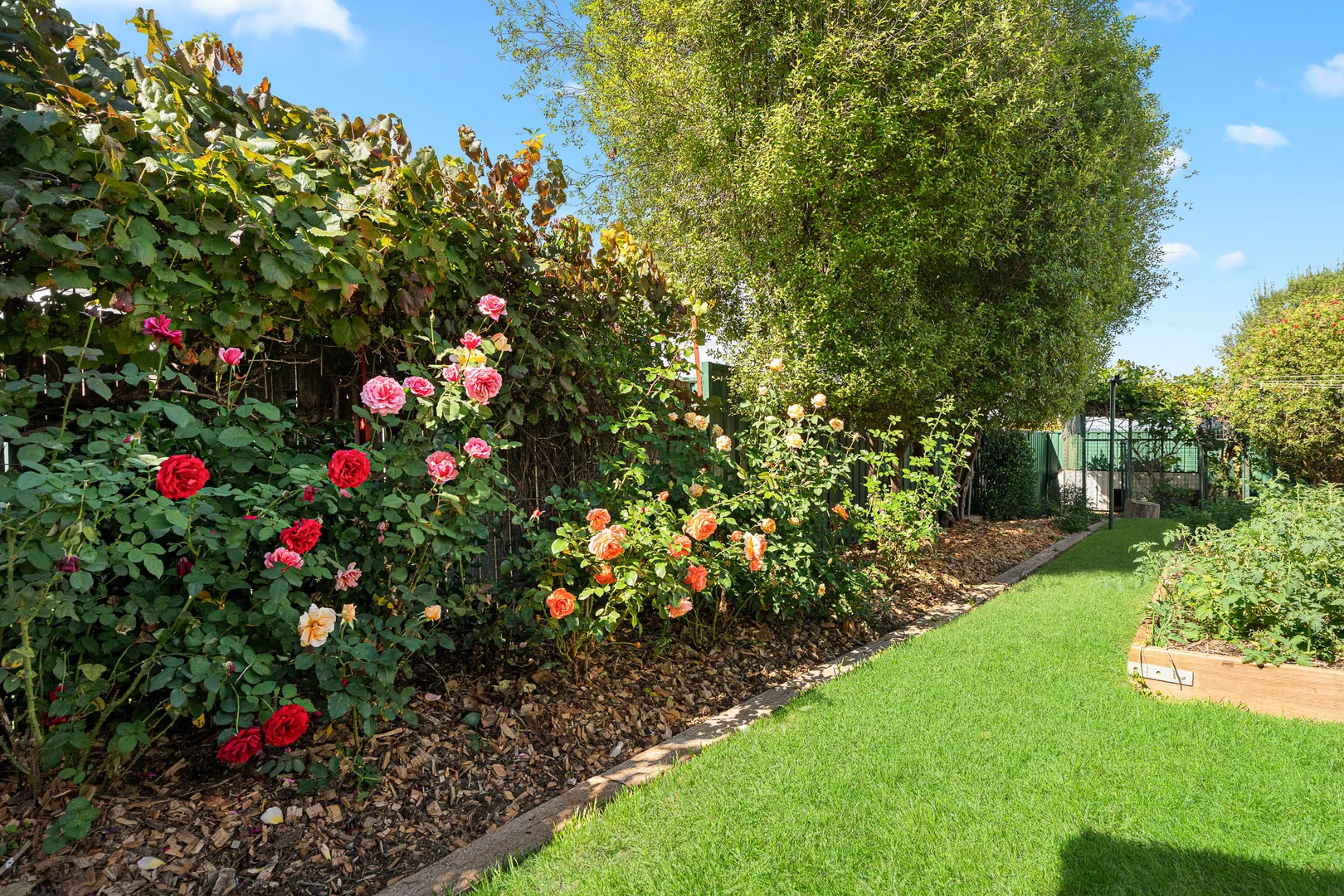 Additional image 13 of 5 Crown Street, Crookwell NSW 2583