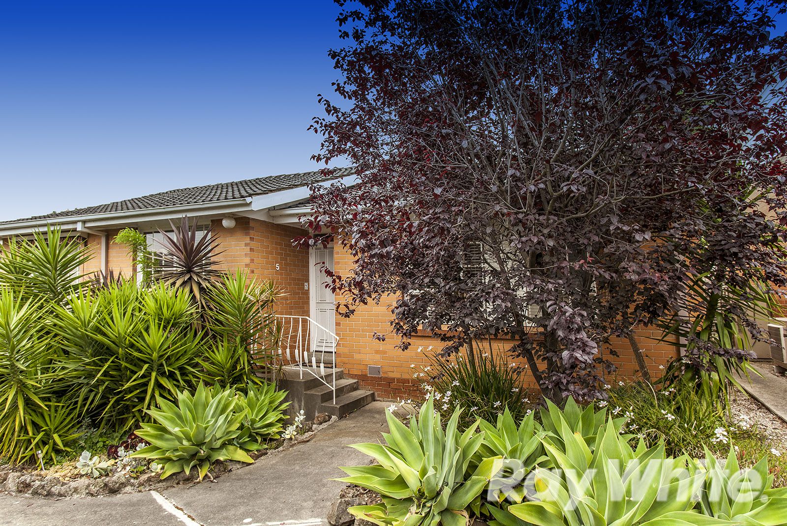 5/61 Doncaster East Road, Mitcham VIC 3132