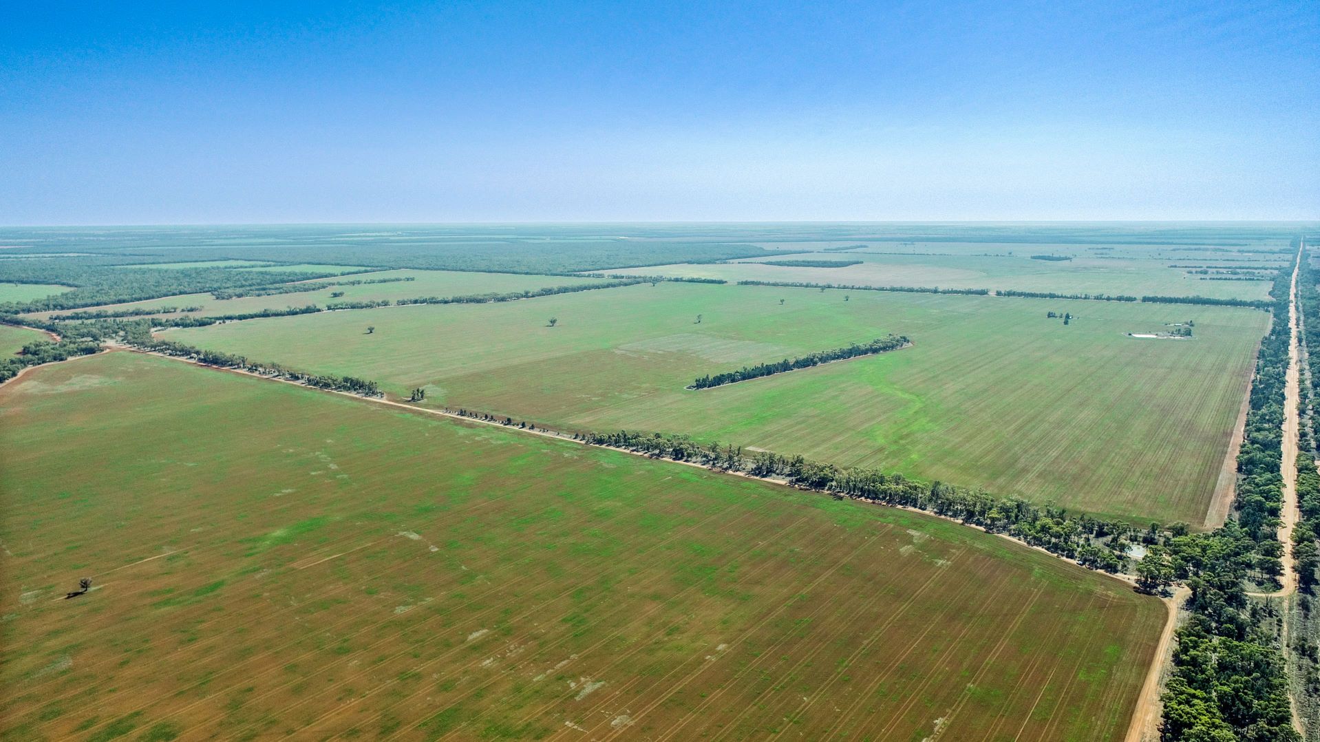 'Pangee Park' Peisley Road, Nyngan NSW 2825, Image 2