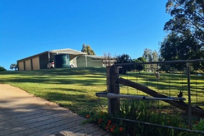 Picture of 673 Acacia Scrub Road, LEGUME NSW 2476