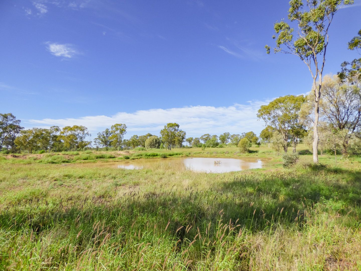 123 Warooby Lane, Roma QLD 4455, Image 1