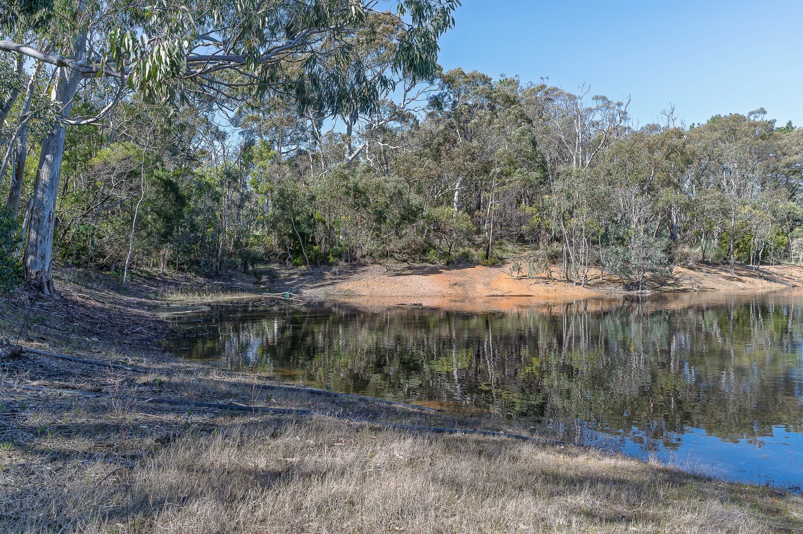 Image 11