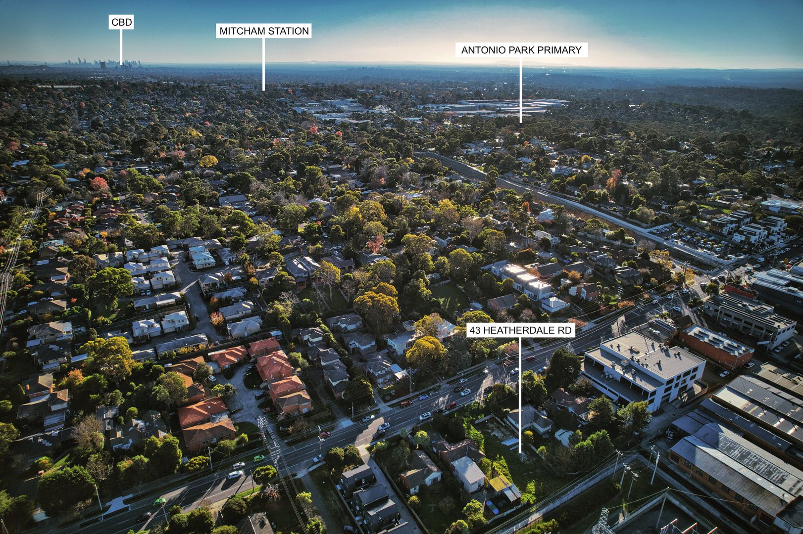 43 Heatherdale Road, Ringwood VIC 3134 Domain