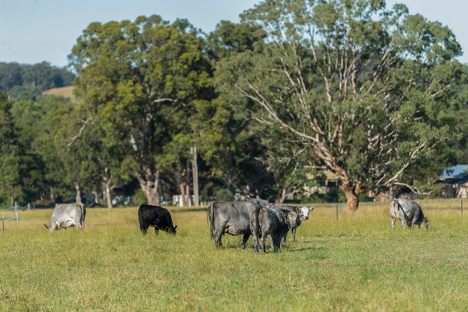 Lot 1/29 Highland Way, Marulan NSW 2579, Image 2