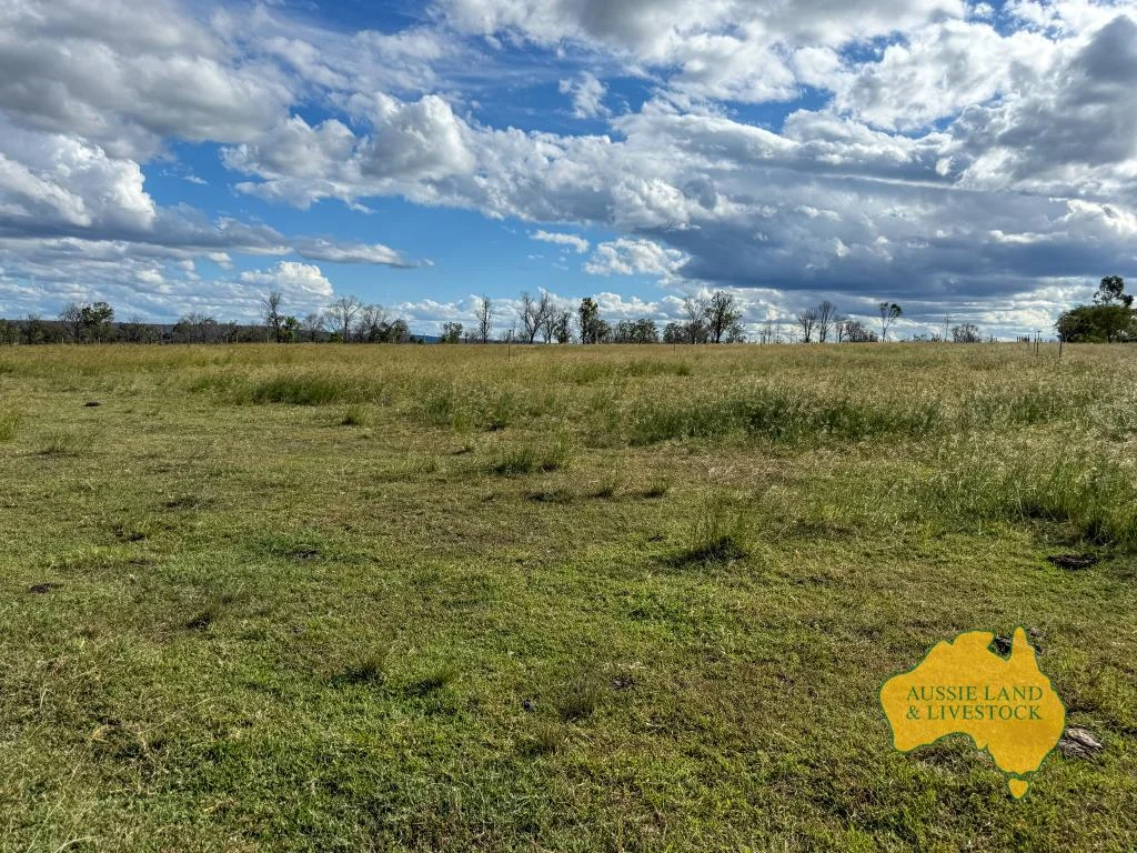 Additional image 37 of 854 MUNDUBBERA-DURONG ROAD, Boynewood QLD 4626