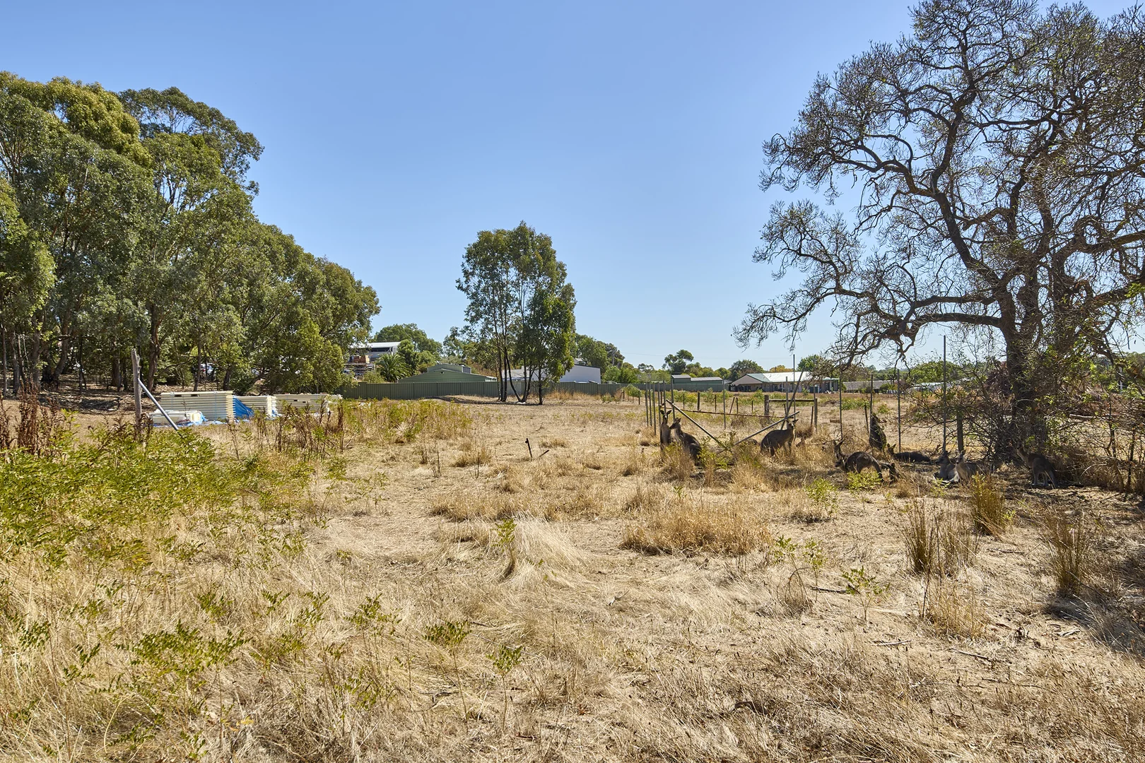 Image 10