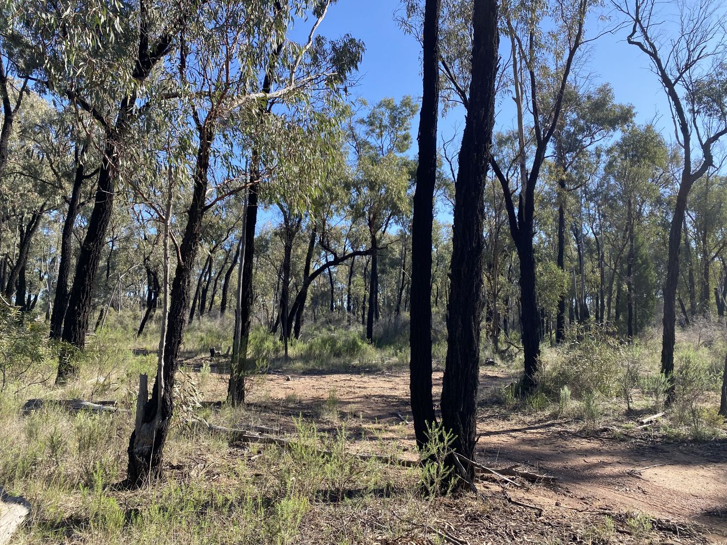 Lot 15 DP752086 Carlisle Road, Fifield NSW 2875, Image 1