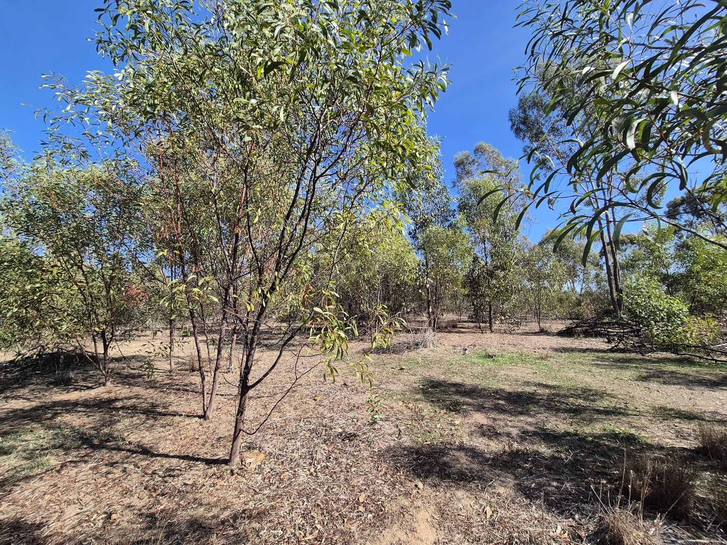 Image 25