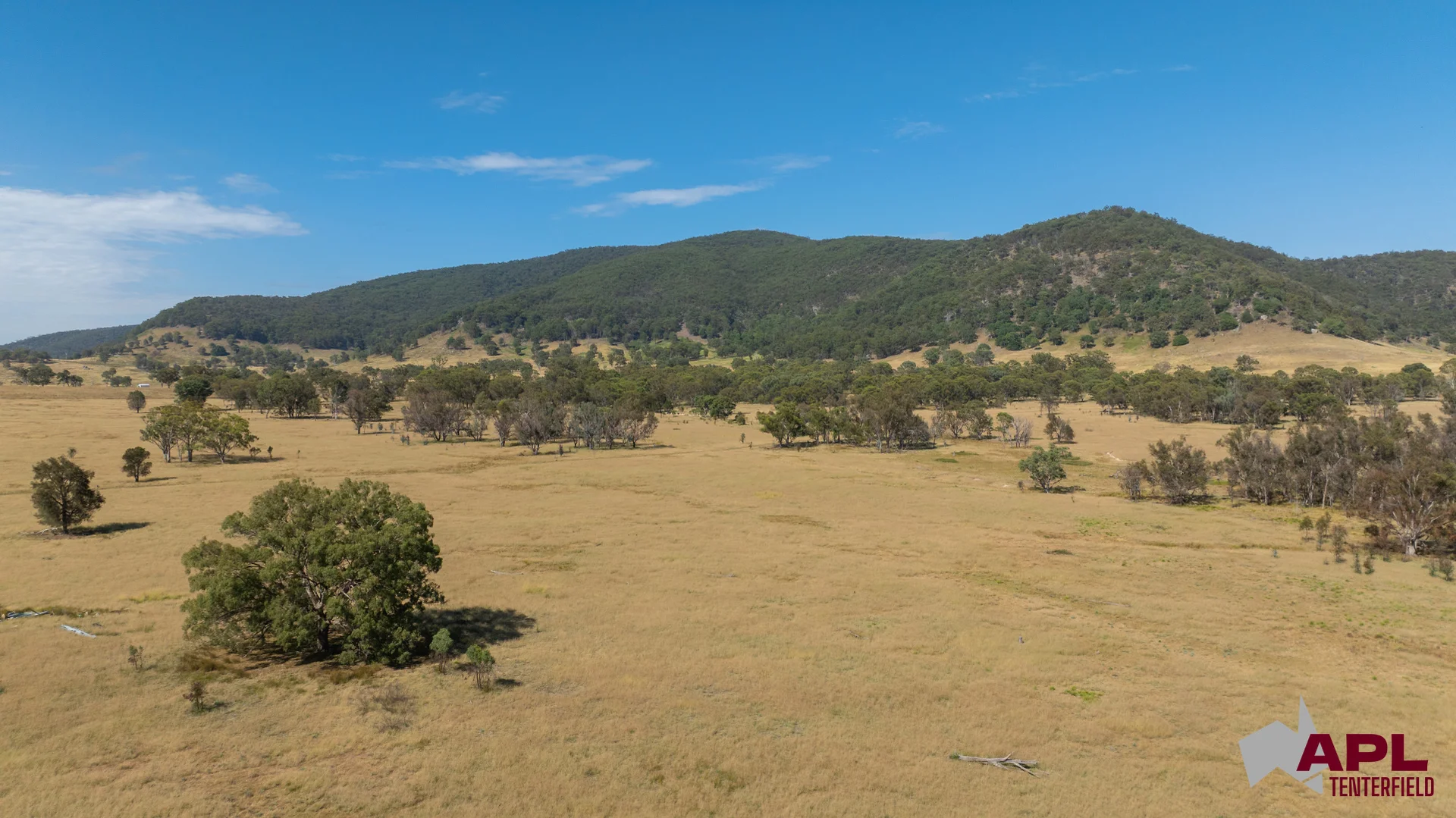Image 13