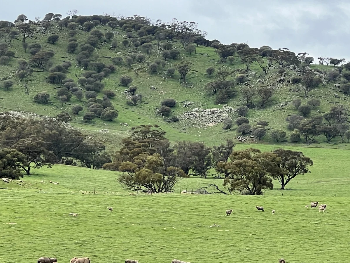 Image 14