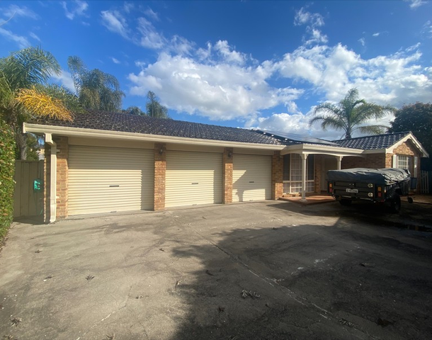 126 Chasselas Avenue, Eschol Park NSW 2558