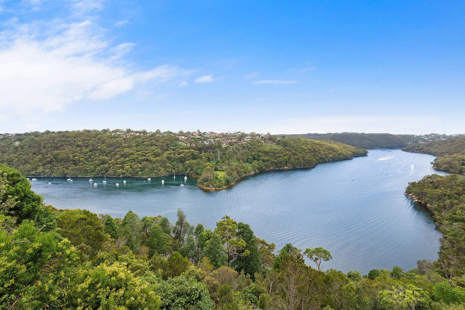 5 bedrooms House in 55 Neerim Road CASTLE COVE NSW, 2069