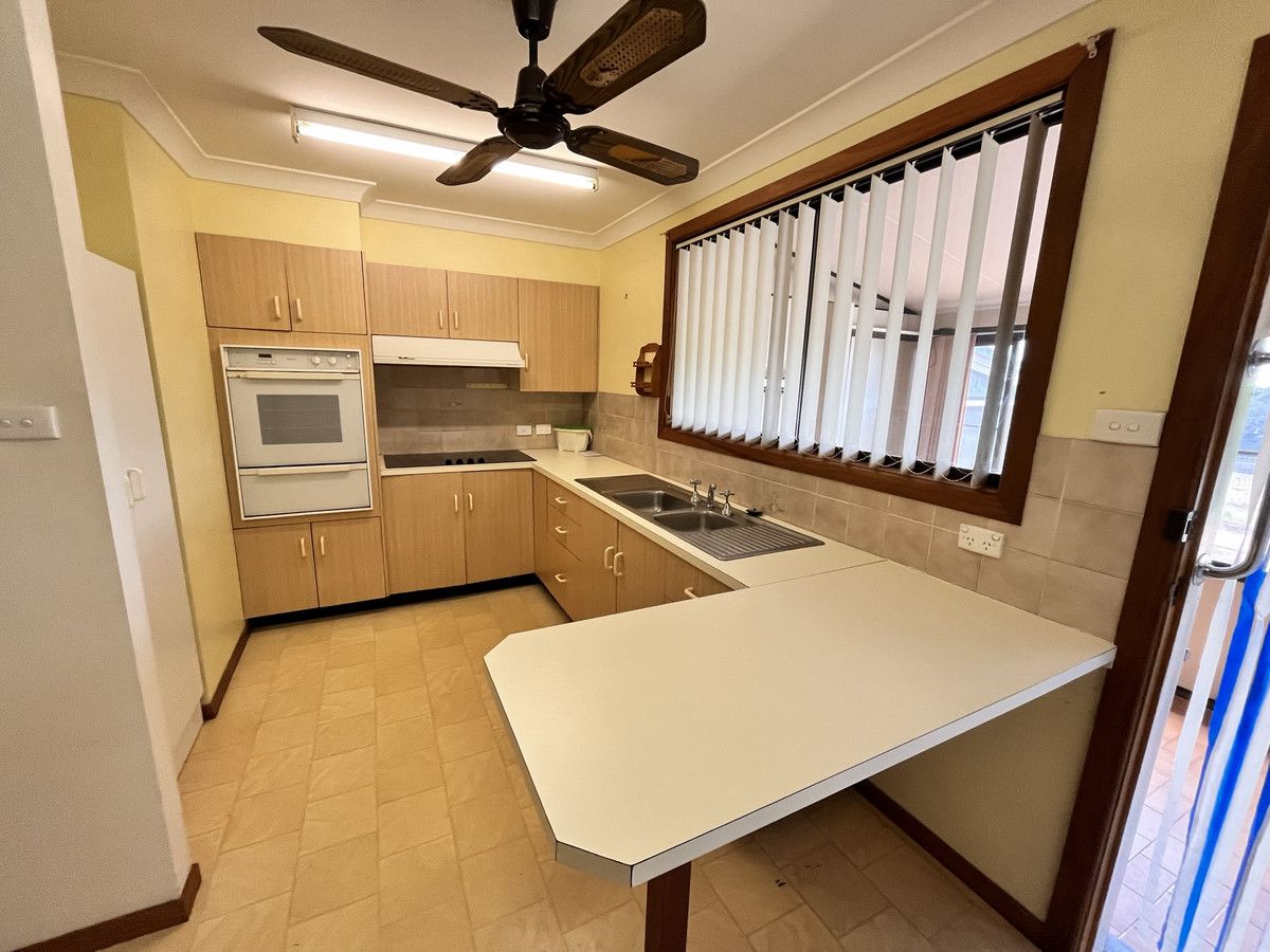 12 Figtree Avenue, Junction Hill NSW 2460 House For Rent Domain