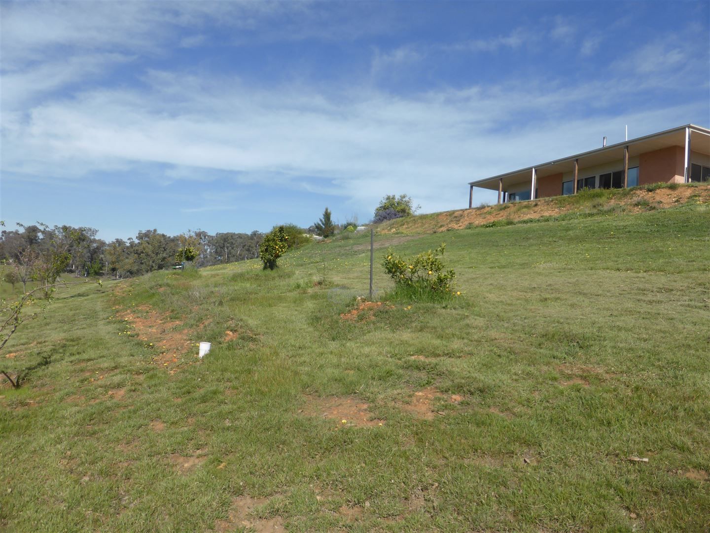 3012 Jingellic Road, Lankeys Creek, Holbrook NSW 2644, Image 1