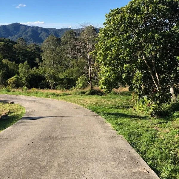 Additional image 31 of Main Arm NSW 2482