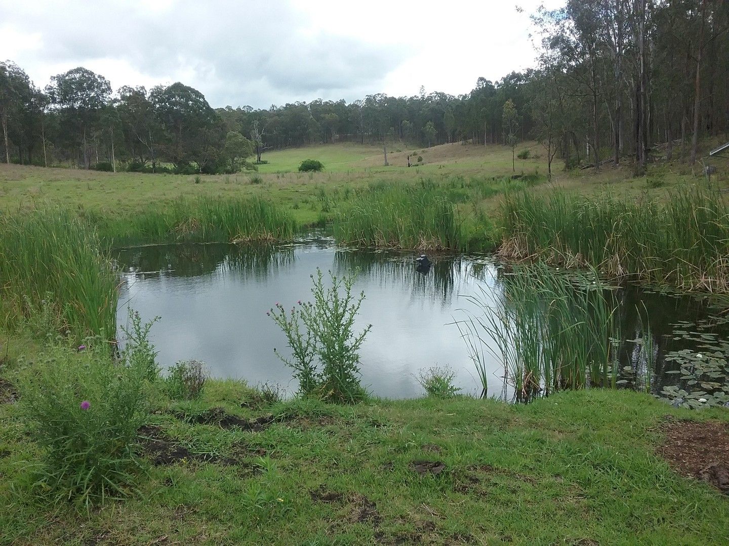 100 Dyraaba Road, Piora NSW 2470, Image 2