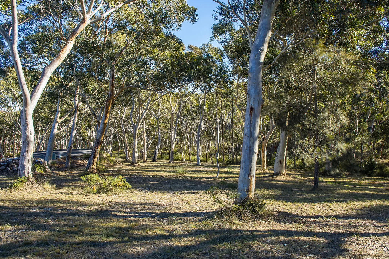 Image 11