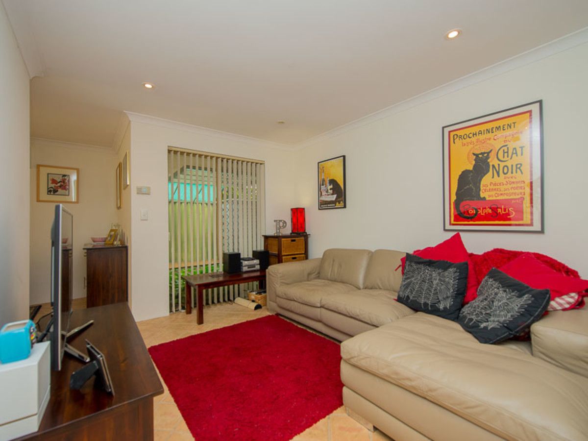 2-407-coode-street-dianell-property-history-address-research-domain