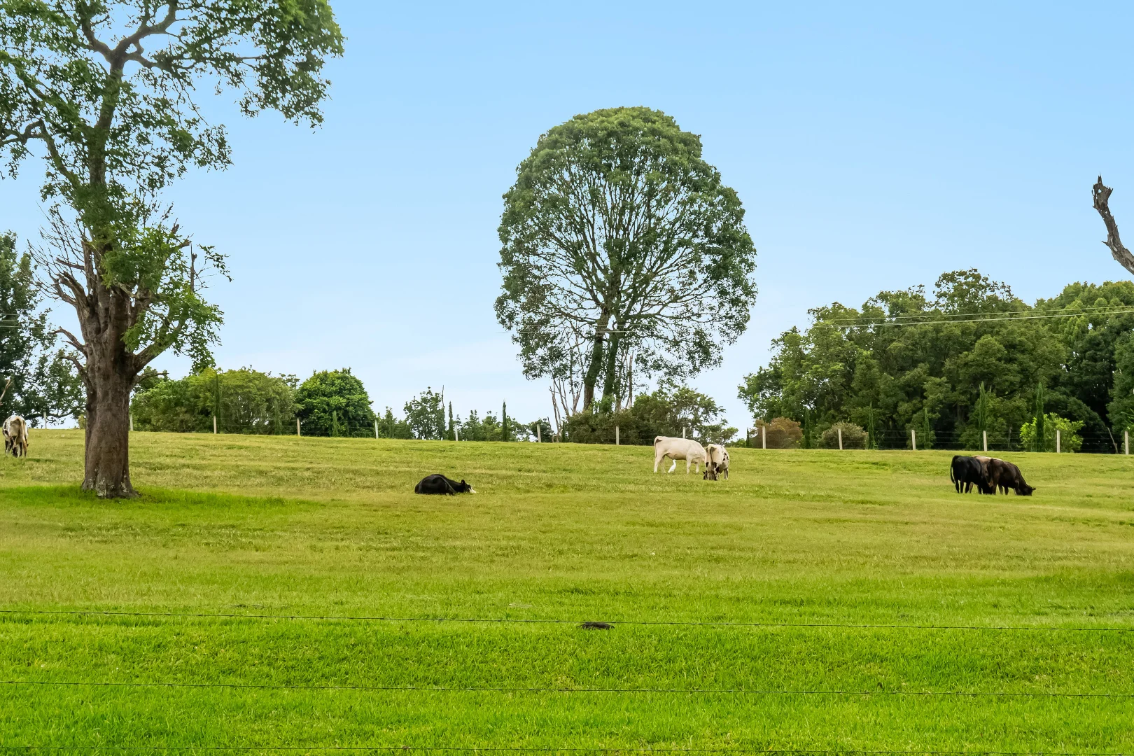 Additional image 21 of 64 Weis Lane, Rous NSW 2477