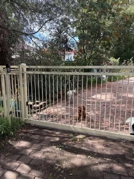 Image 15