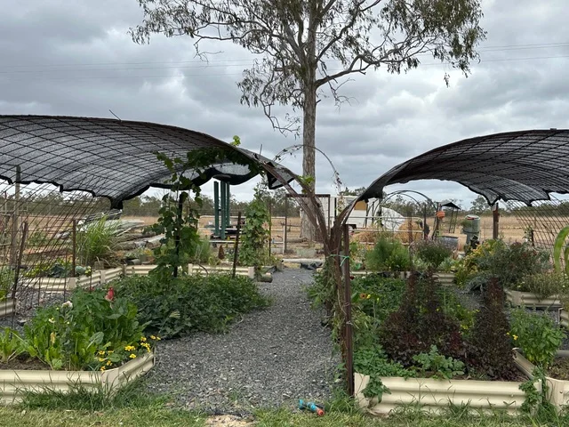 Image 12