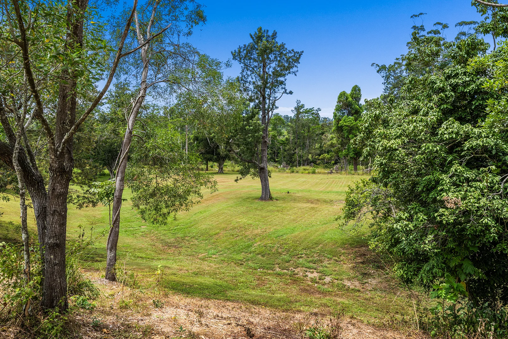 Additional image 34 of 110 Gladrose Crescent, Wongawallan QLD 4210