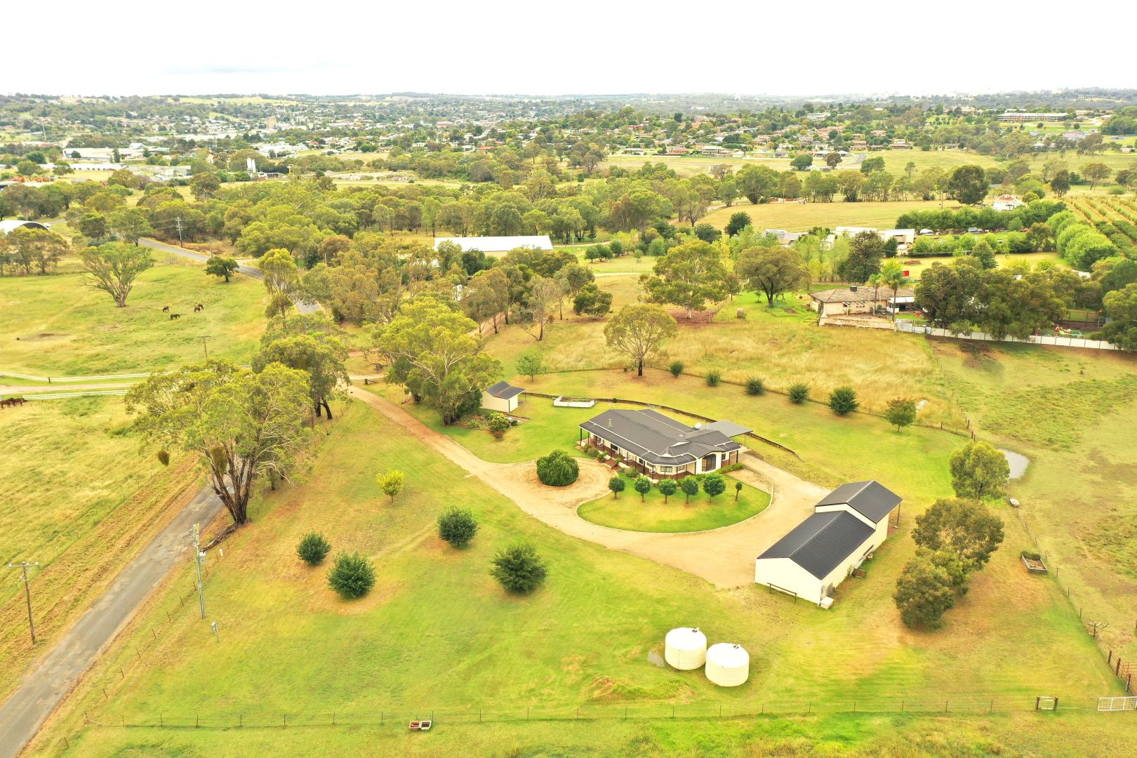 99 Spring Creek Road, Young NSW 2594, Image 2