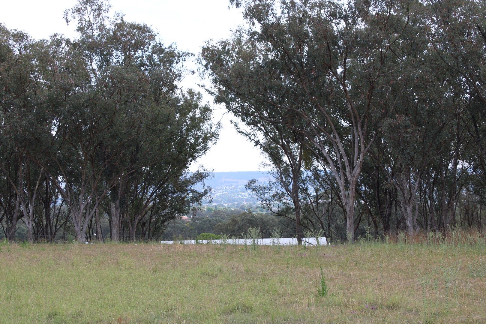 Lot 30 Sylvan Drive, Inverell NSW 2360, Image 2