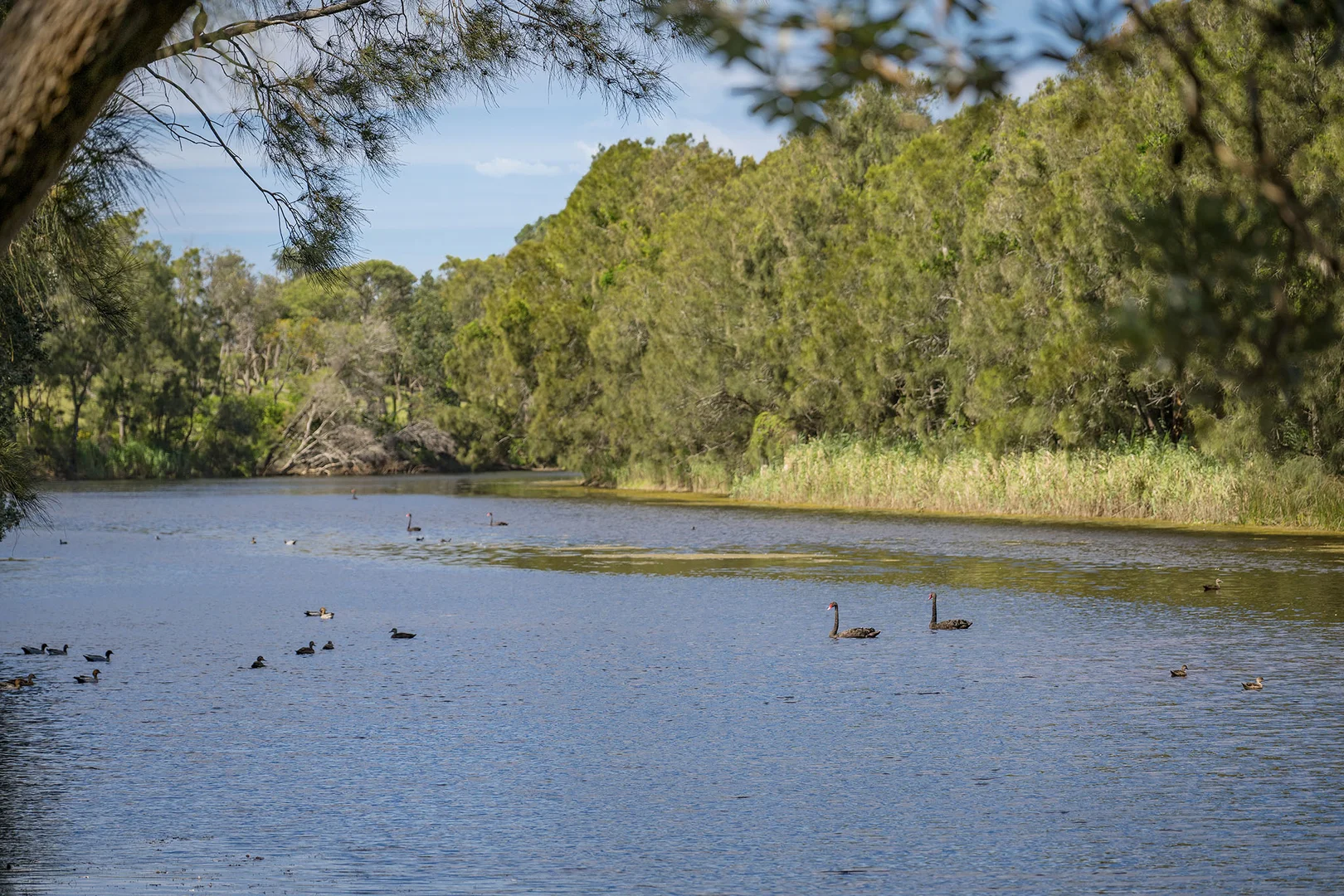 Additional image 39 of 1126 Point Plomer Road, Crescent Head NSW 2440
