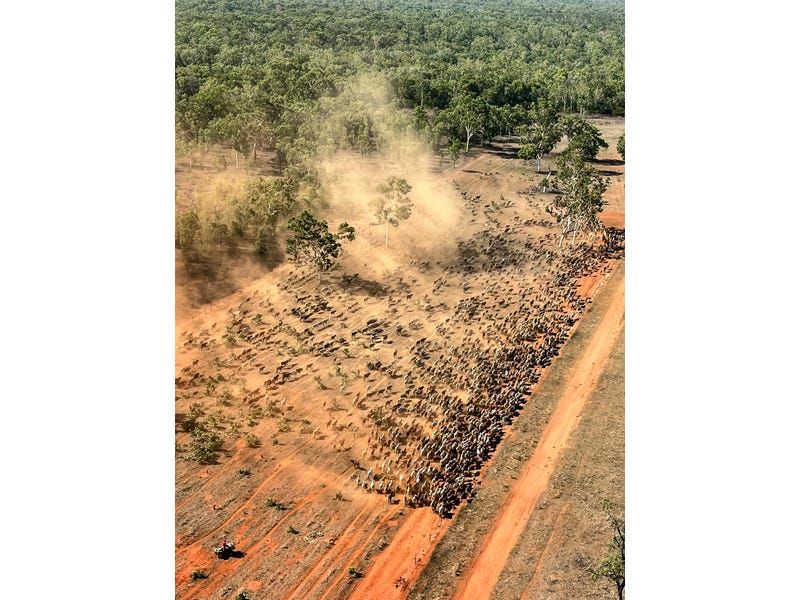 Dorisvale Station, Claravale NT 0822, Image 0