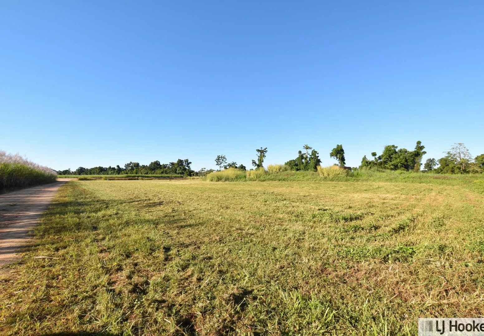 Image 12