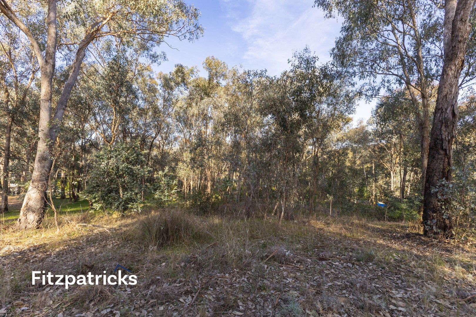 23 Myrtle Street, Tarcutta NSW 2652, Image 1