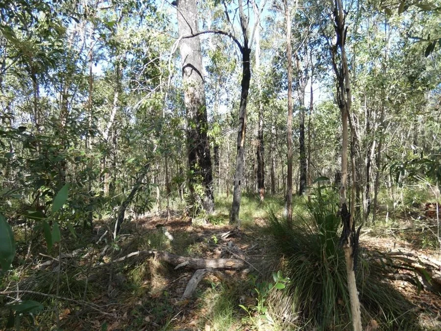 Additional image 28 of 960 Pacific Drive, Deepwater QLD 4674