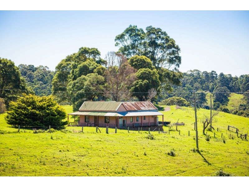 302 Punkalla-Tilba Road, Central Tilba NSW 2546, Image 2