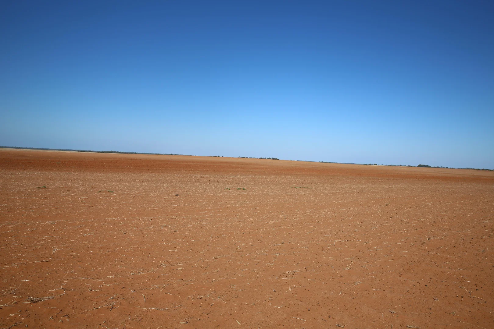 Image 13